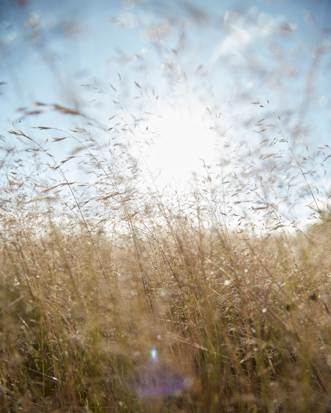 OEKO-TEX® Standard 100 – your guarantee of textiles you can trust