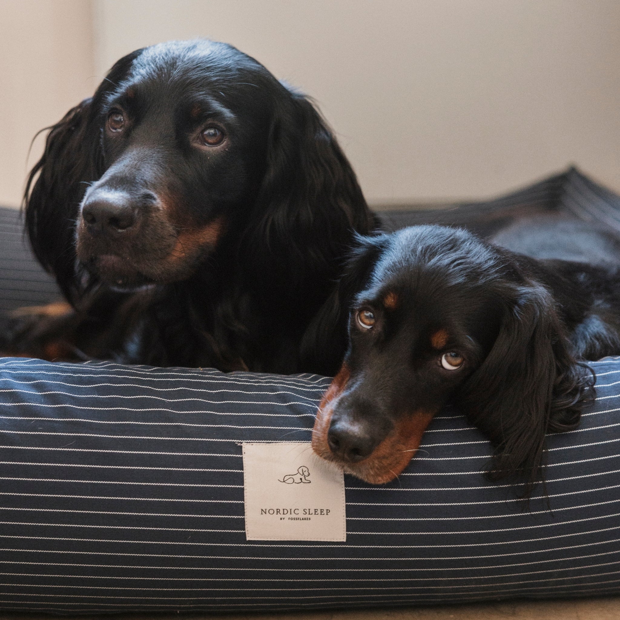 Nordic Sleep x Siccaro dog bed - Navy - M