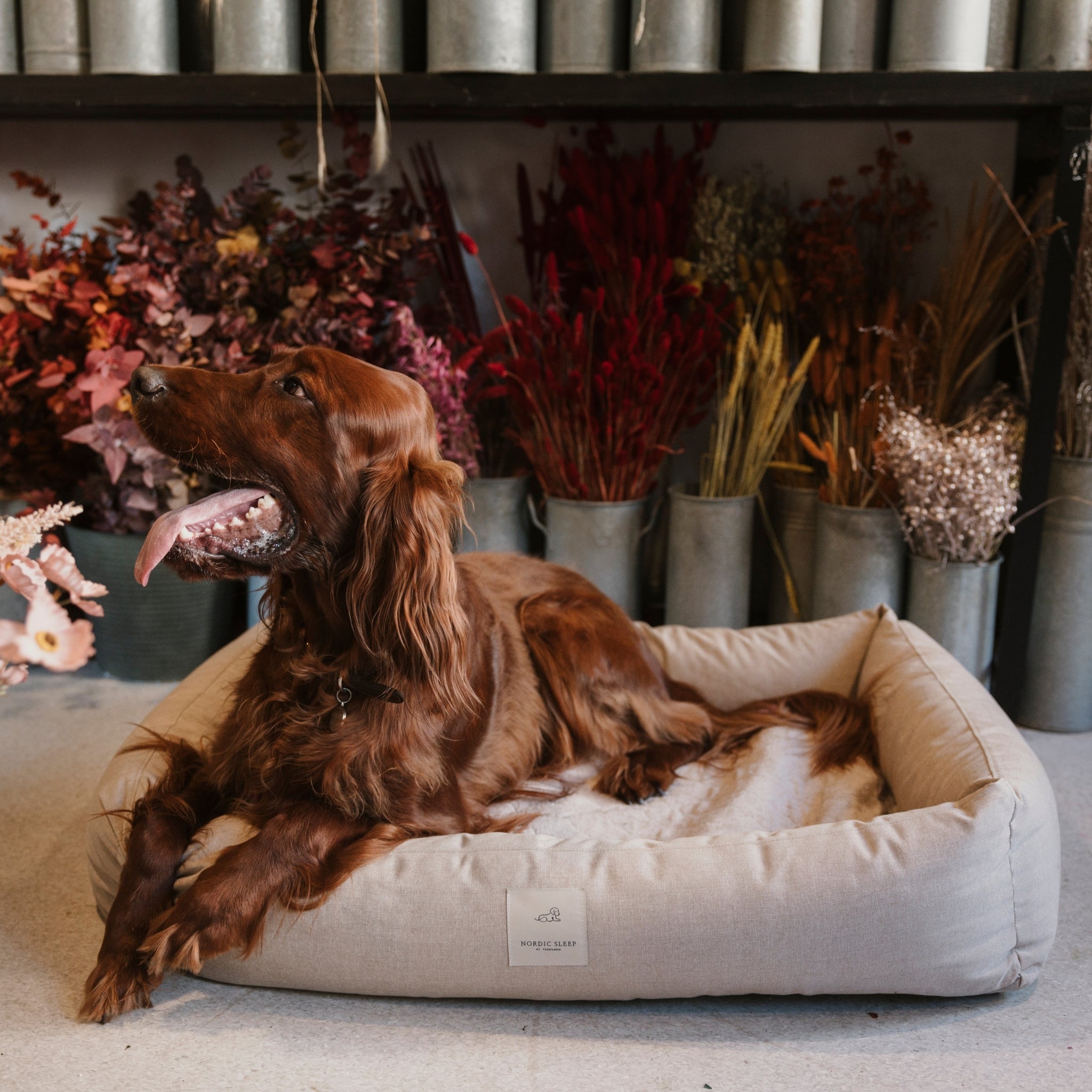 Nordic Sleep x Siccaro dog bed - Sand/Beige - M