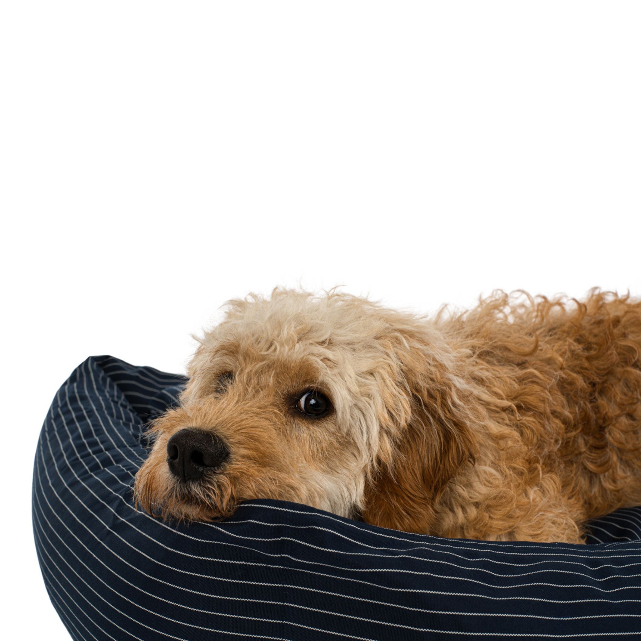 Dog Bed Navy pinstripe Medium - 70x90