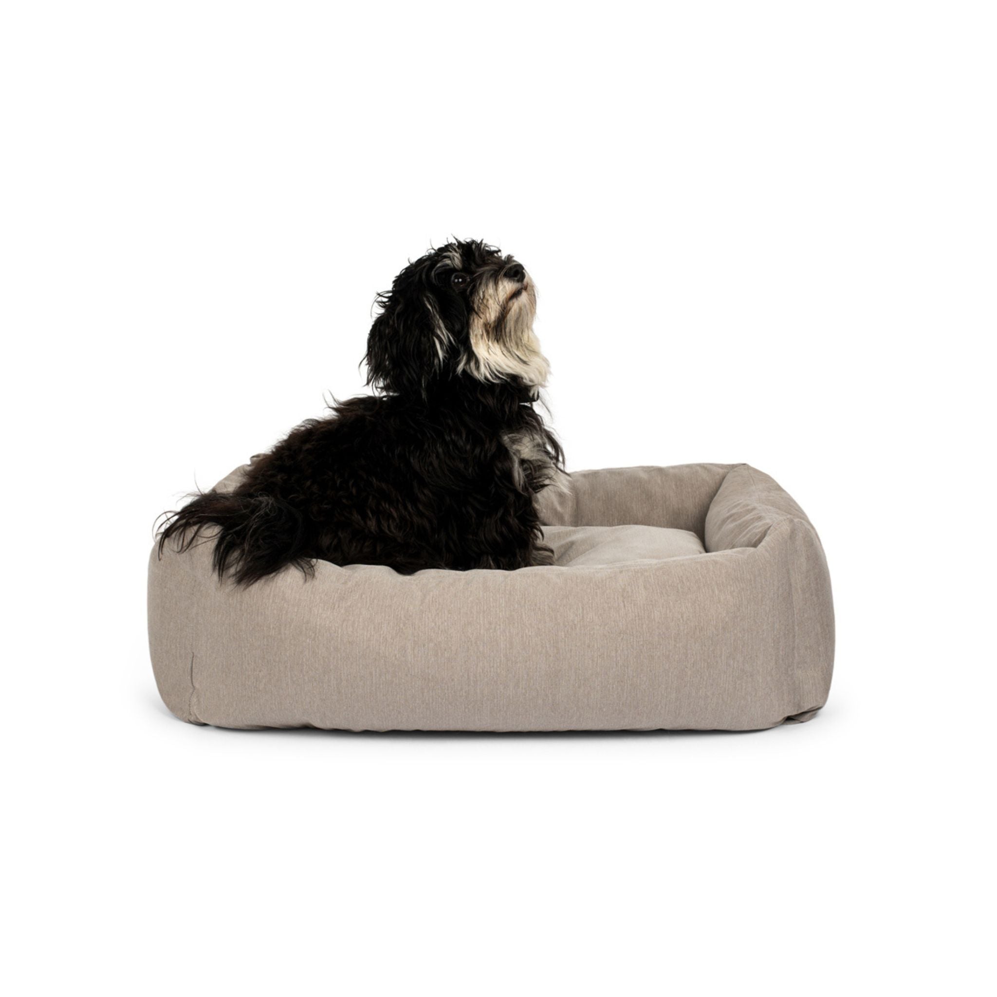 Dog Bed Soft Grey Small - 50x70