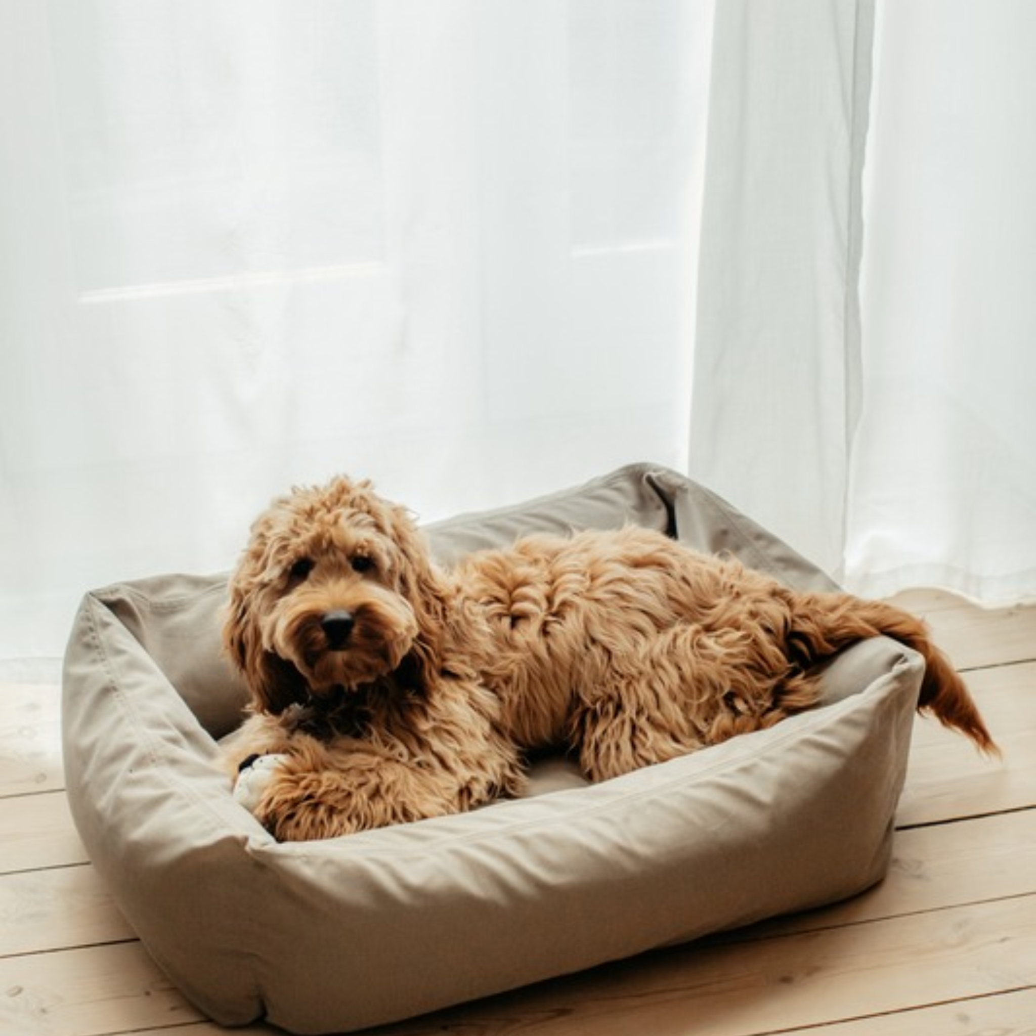 Dog Bed Soft Grey Medium - 70x90