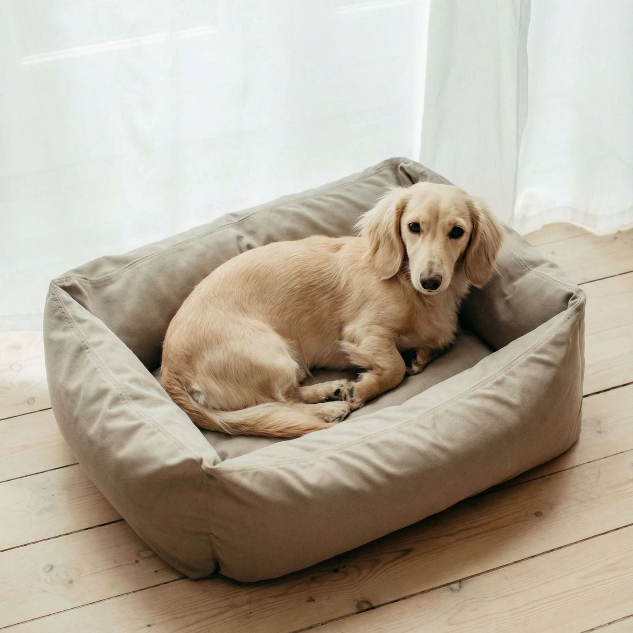 Dog Bed Khaki X-Small - 50x45