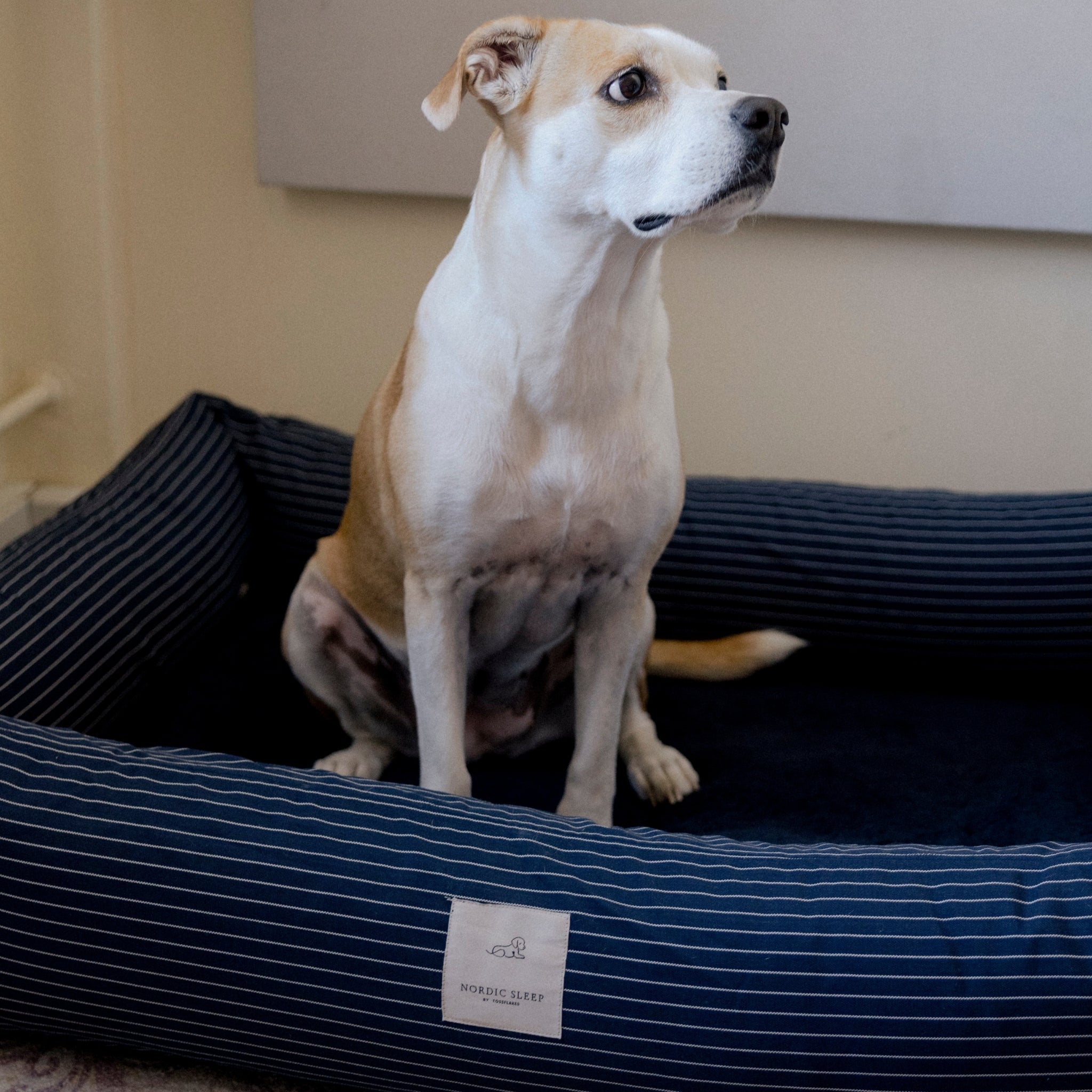 Nordic Sleep x Siccaro dog bed - Navy - M