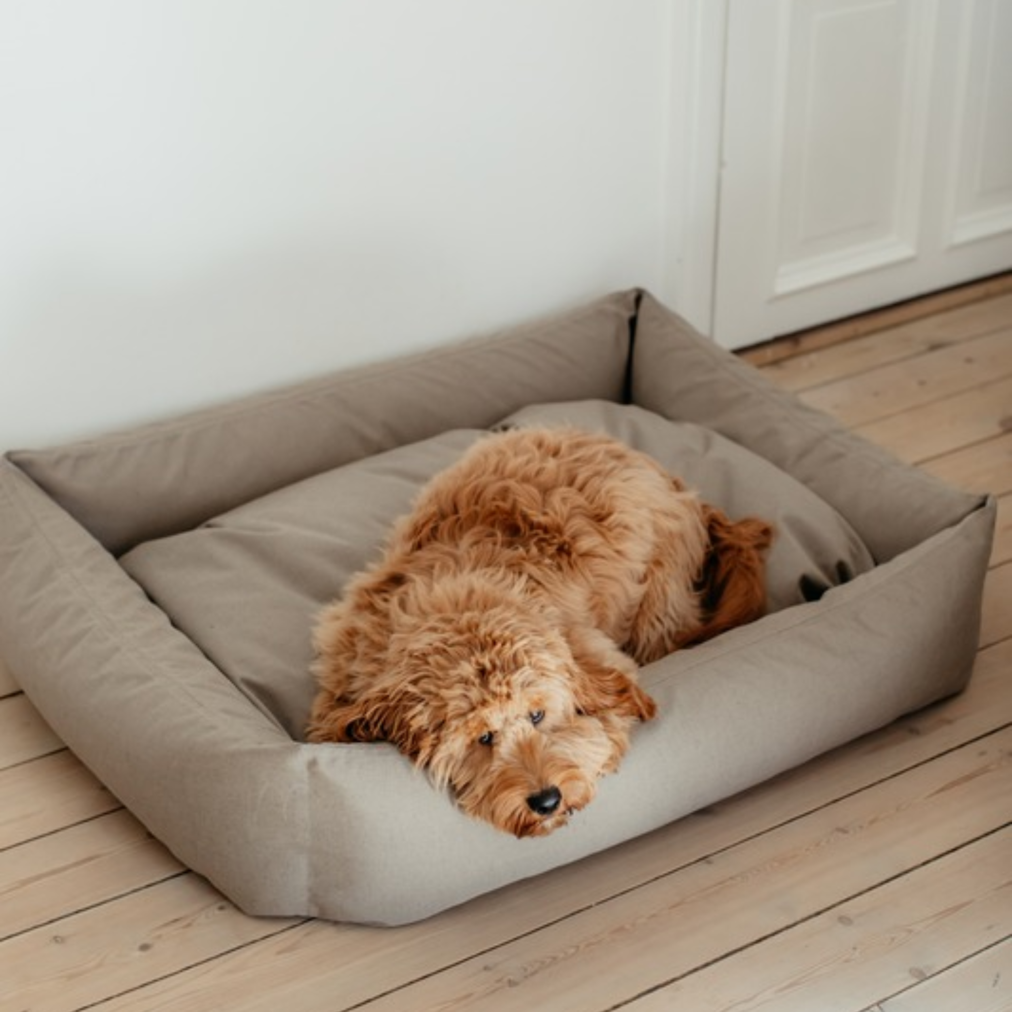 Dog Bed Khaki Medium - 70x90